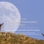 Konkurs Olympus Global Open 4