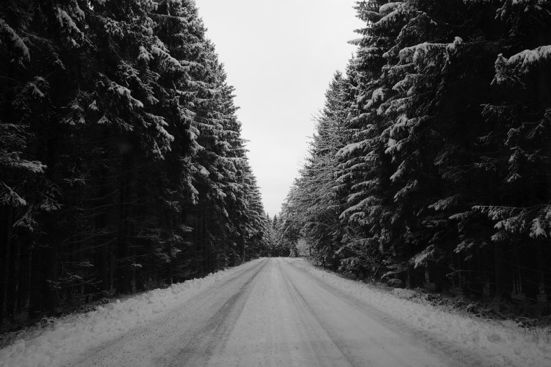 Zdjęcie przykładowe z Ricoh GR IV Monochrome – zimowa droga w lesie.
