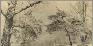 Jan Bułhak – 150 lat od urodzin ojca polskiej fotografiki. Wilno, „fotografia ojczysta” i archiwum, które spłonęło