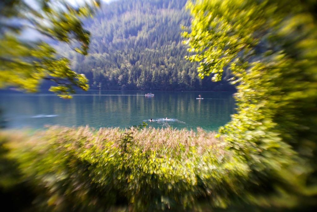 Jezioro i las sfotografowane obiektywem Lomography Métamorphose 35 mm z mocno rozmytymi brzegami