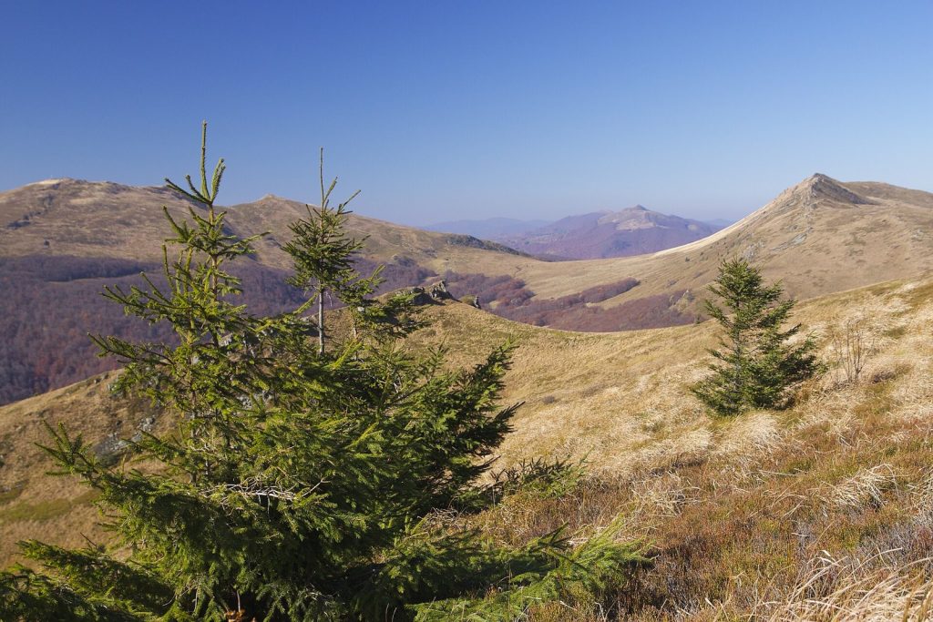 Jesienne połoniny w Bieszczadach – Tarnica, Caryńska i Krzemień